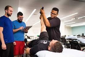 Physical Therapy Roles And Responsibilities Therapy