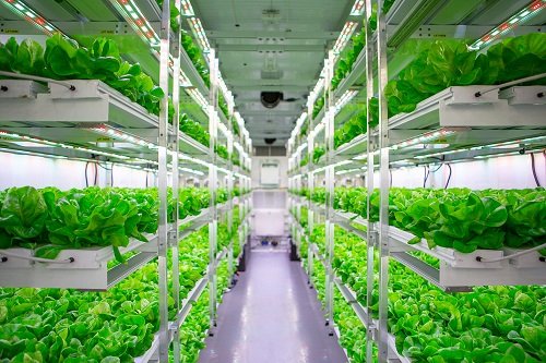 Indoor Farming Market