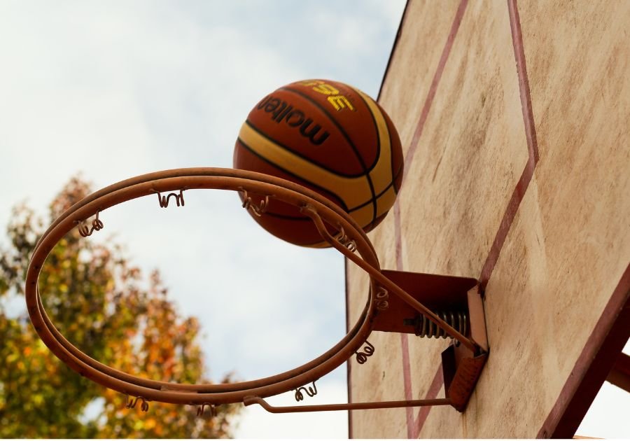 Fibahub