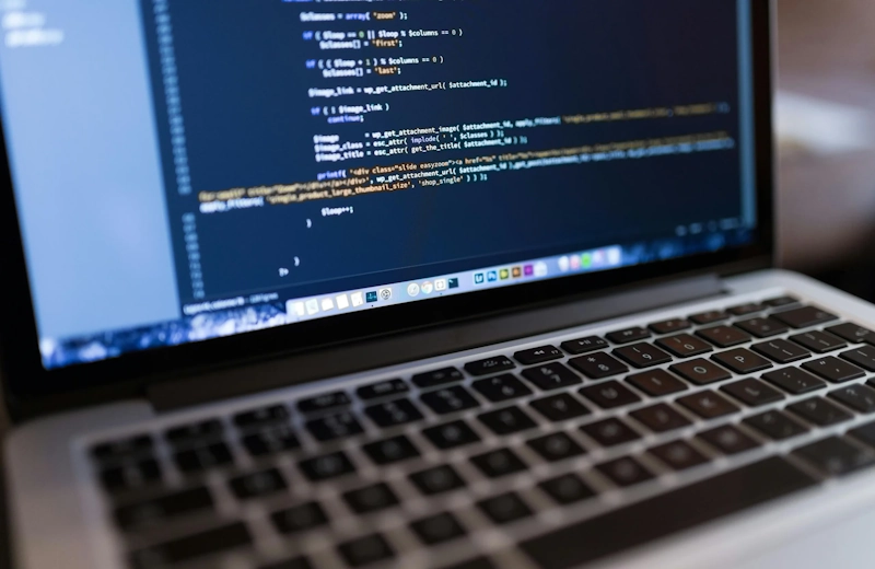WordPress Plugins