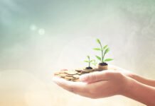 A Guide to Setting Up and Managing a Private Ancillary Fund Ancillary FundÂ