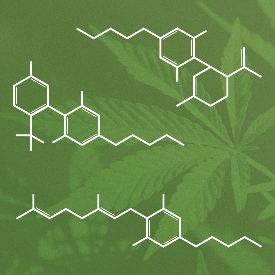 The Role Of THCv Isolate In Enhancing Mental And Physical Health thcv