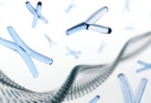 How Y-STR DNA Testing Can Reveal Your Male Lineage History? Y-STR testing