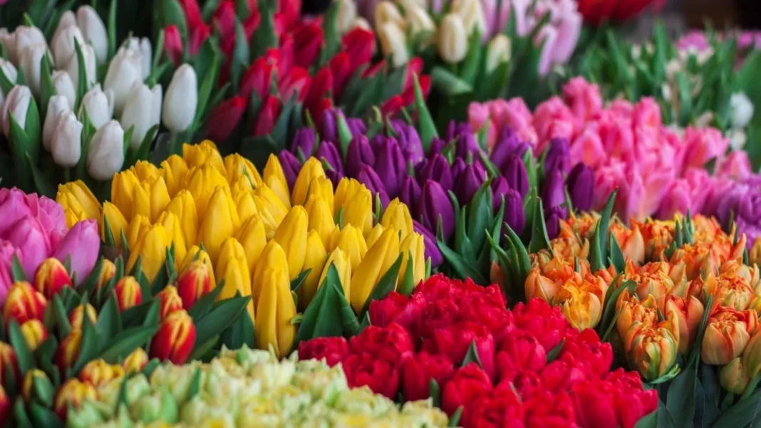 Why Flowers Make the Best Mother’s Day Gift: A Blooming Tribute Flowers