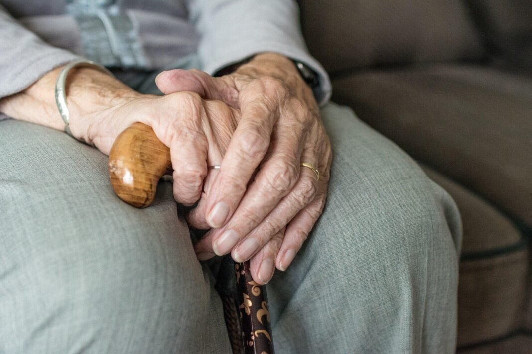 Top Senior Care Options to Support Aging Loved Ones Care Options